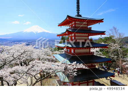 新倉山浅間公園 桜と富士山と五重塔 新倉山浅間公園 桜と富士山と五重塔 49948534