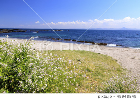 大浦海水浴場 大浦海水浴場 49948849