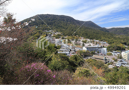 春の金毘羅さん（公会堂から象頭山まで） 49949201