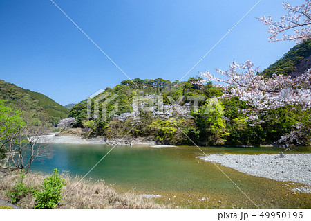 春の古座川峡 49950196