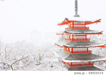 新倉山浅間公園　五重塔の雪景色 49950554