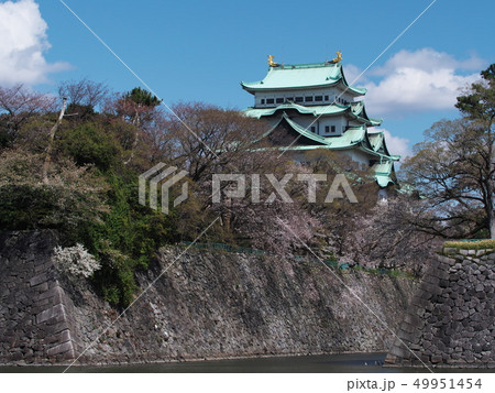 春の名古屋城 春の名古屋城 49951454