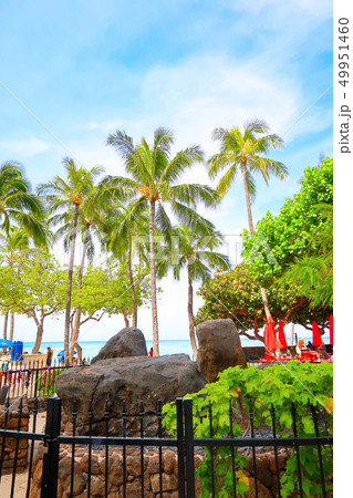 ワイキキの魔法石（ハワイ） 49951460