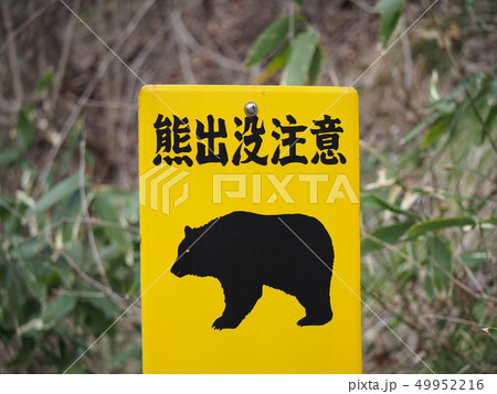 熊出没注意看板 熊出没注意看板 49952216