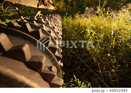 Old farming equipment in the forest 49952985