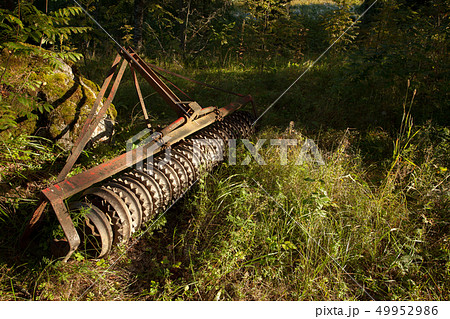Old farming equipment in the forest Old farming equipment in the forest 49952986