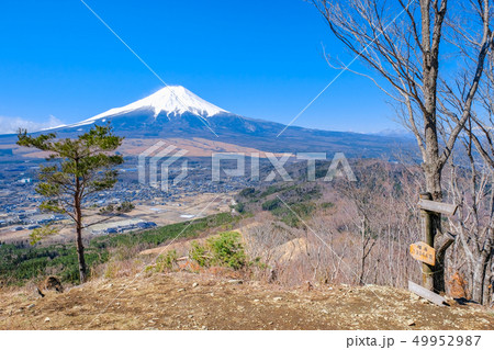 春の登山:高座山頂上 春の登山:高座山頂上 49952987