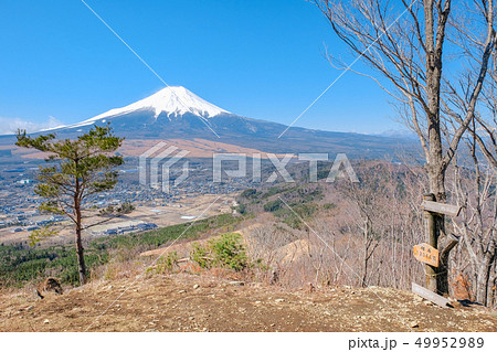 春の登山:高座山頂上 春の登山:高座山頂上 49952989
