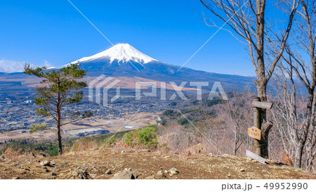 春の登山:高座山頂上 春の登山:高座山頂上 49952990