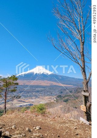 春の登山:高座山頂上 春の登山:高座山頂上 49952993