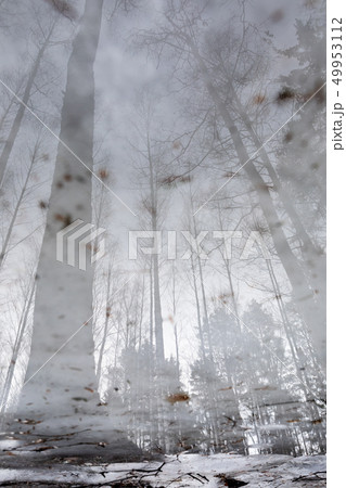 Landscape reflection from wet ice surface at forest path Landscape reflection from wet ice surface at forest path 49953112
