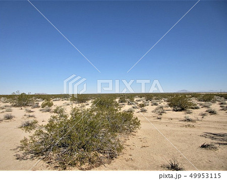 Southern California, Desert Heights near 29 Palms Southern California, Desert Heights near 29 Palms 49953115