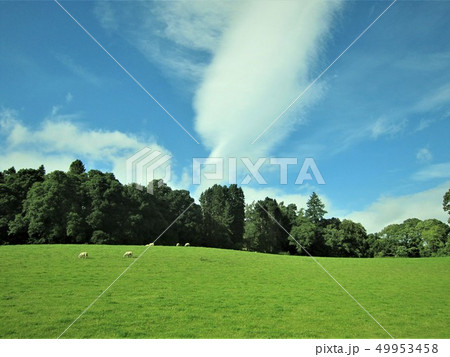 スコットランドの風景 スコットランドの風景 49953458