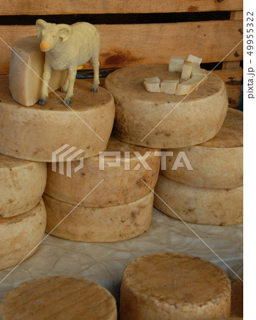 delicious cheese 49955322