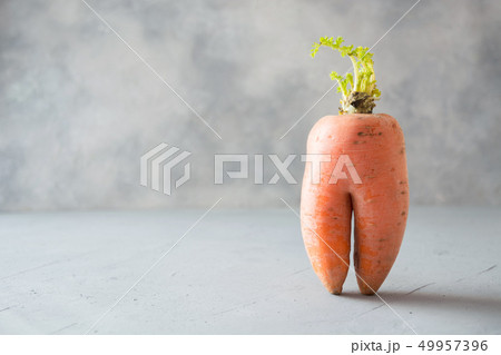 Ugly one organic carrot. Space for text. Concept Ugly one organic carrot. Space for text. Concept 49957396
