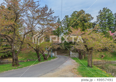 春の米沢城跡の風景 春の米沢城跡の風景 49957491