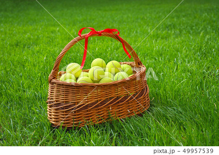 Tennis balls in a basket on green grass. Tennis balls in a basket on green grass. 49957539
