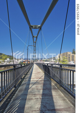 釜の淵公園の桜 柳淵橋 釜の淵公園の桜 柳淵橋 49957969