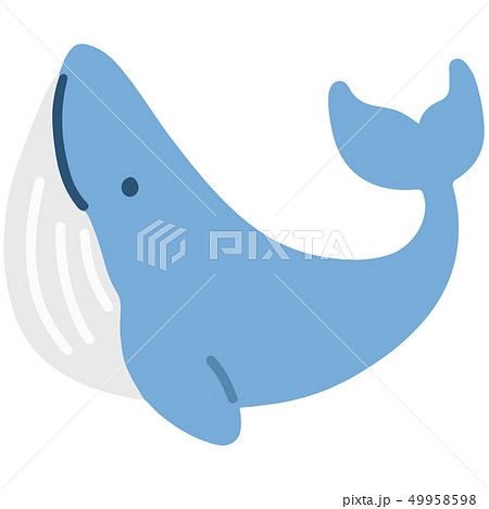 シンプルで可愛いクジラのイラスト 主線なしのイラスト素材