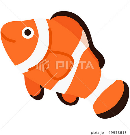 Simple And Cute Illustration Of Anemone Fish Stock Illustration