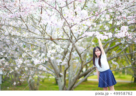 彼女とお花見　デート 49958762