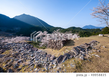 春の赤木城跡 春の赤木城跡 49958835