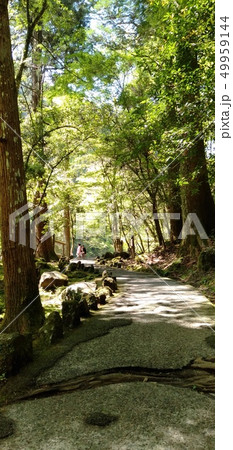 高千穂峡 緑の道 高千穂峡 緑の道 49959144