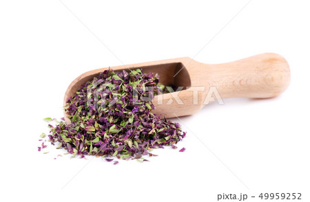 Dried thyme flowers in wooden spoon, isolated on white background. Natural herbs - thyme. 49959252