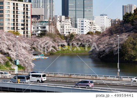 千鳥ヶ淵 49959441