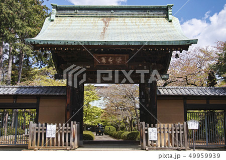 豪徳寺山門 豪徳寺山門 49959939