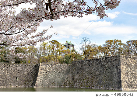 大阪城公園での花見 49960042