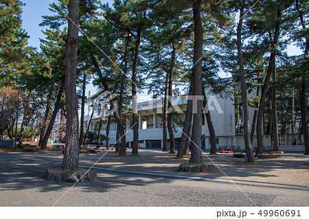 敷島公園　松林　陸上競技場　　群馬県前橋市 49960691