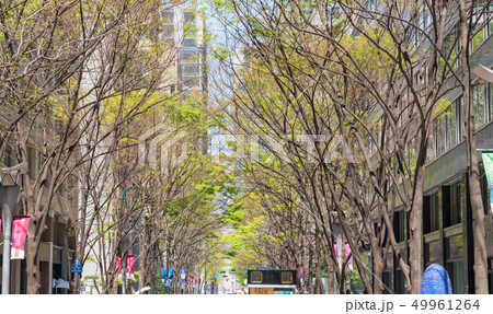 新緑の東京　休日の丸の内仲通り 49961264