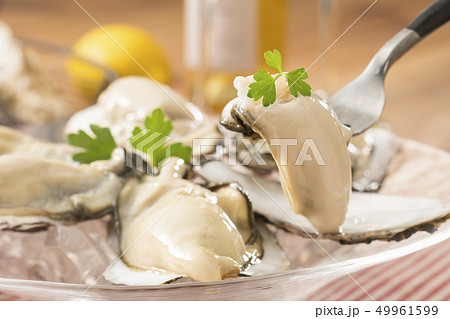 オイスター オイスター 49961599