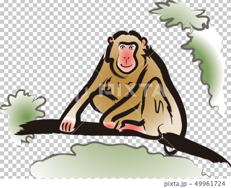 A monkey A monkey 49961724