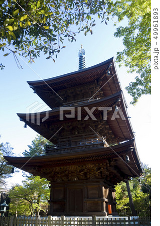 【東京都】豪徳寺　三重塔 49961893