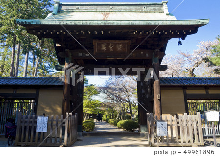 【東京都】豪徳寺 49961896