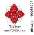 Chakra Muladhara - prostate, alternative medicine 49962997