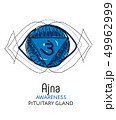 Chakra Ajna, pituitary gland, Ayurveda 49962999
