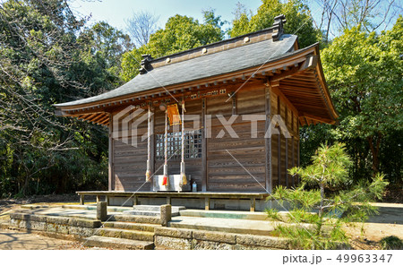 杉戸散歩：八幡神社 49963347