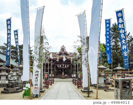 白鳥神社 白鳥神社 49964013