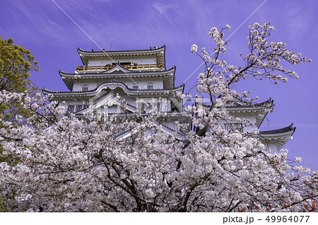 広島県福山市 福山城 天守閣 福山城博物館 広島県福山市 福山城 天守閣 福山城博物館 49964077