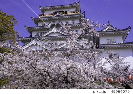 広島県福山市　福山城　天守閣　福山城博物館 49964079