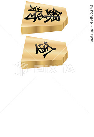 将棋駒立体横両面銀将 将棋駒立体横両面銀将 49965243