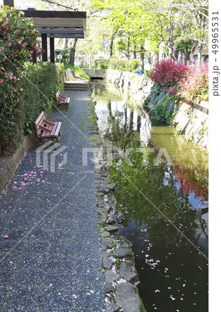 葛西用水路　東京都足立区東和～葛飾区亀有 49965531