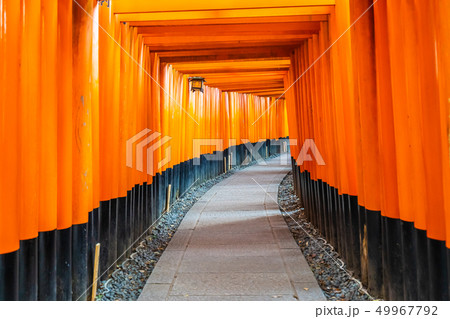 Beautiful fushimi inari shrine temple in Kyoto 49967792