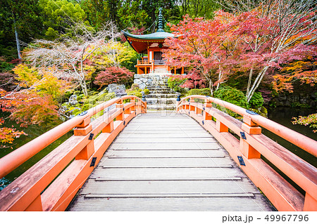 Beautiful Daigoji temple with colorful tree and leaf in autumn season Beautiful Daigoji temple with colorful tree and leaf in autumn season 49967796