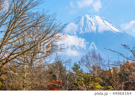 Beautiful landscape of mountain fuji with maple leaf tree around lake 49968164