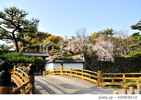 春の和歌山城 一の橋と大手門 春の和歌山城 一の橋と大手門 49969610