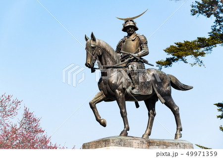 仙台市伊達政宗公騎馬像と桜 49971359